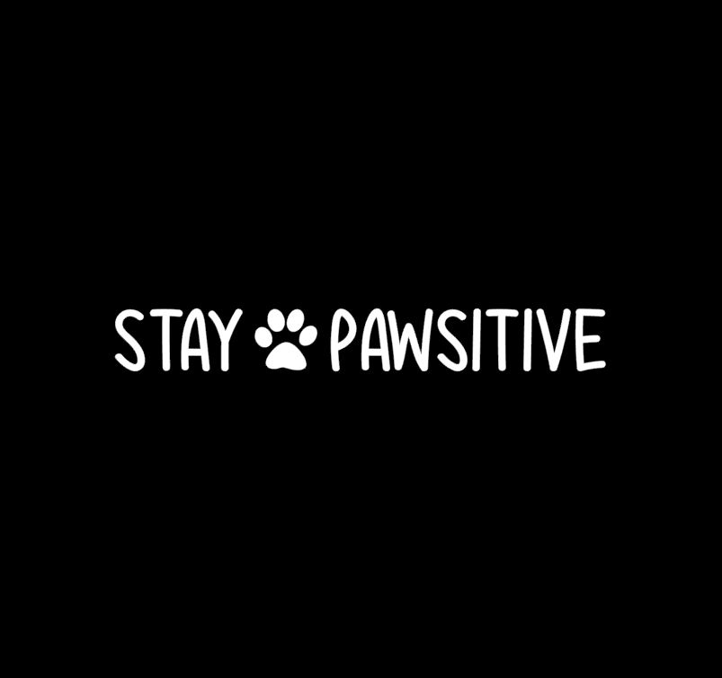 Stay Pawsitive Aufkleber